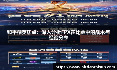 美嘉体育官方网站