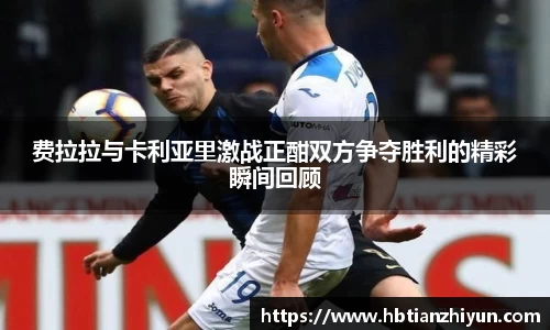 美嘉体育