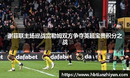 美嘉体育