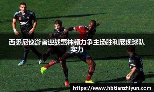美嘉体育官网
